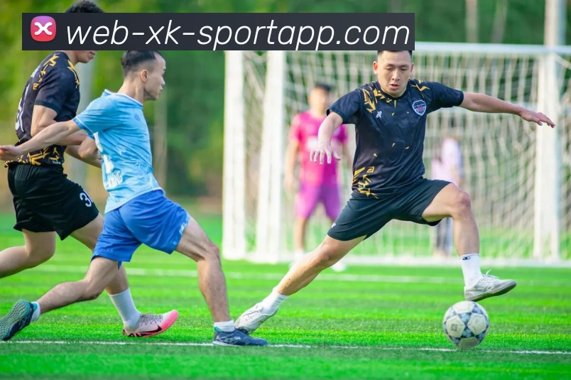 星空体育发展历程